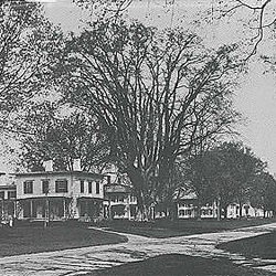 Historic Main St. in Hatfield, MA